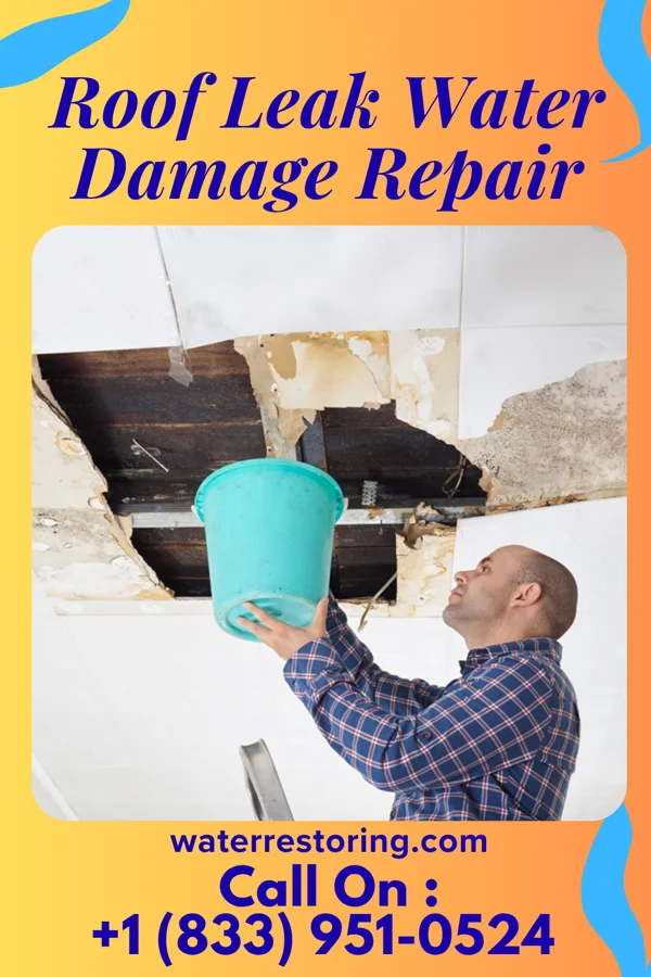 Roof Leak Water Damage Repair in Norwich, KS