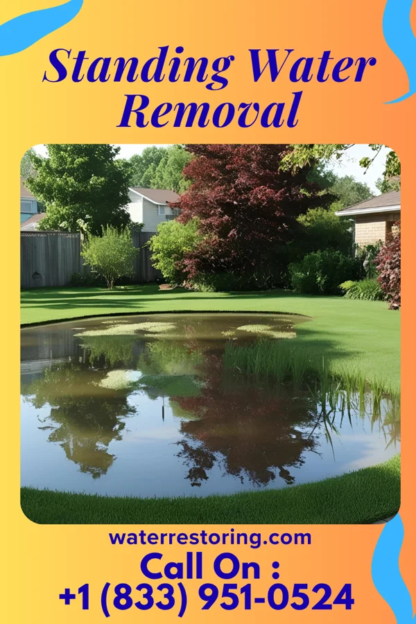 Standing Water Removal in Norwich, KS